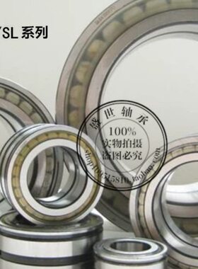 常州满装圆柱滚子轴承SL024832进口NNCL4832内径160外径200厚度40
