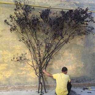 天然黑树枝许愿树马醉木干支枯木婚庆婚礼道具仿真树支造景白树杈