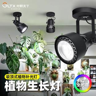 植物补光灯客厅过道阳台热植绿植生长灯全光谱白光 光联天下吸顶式