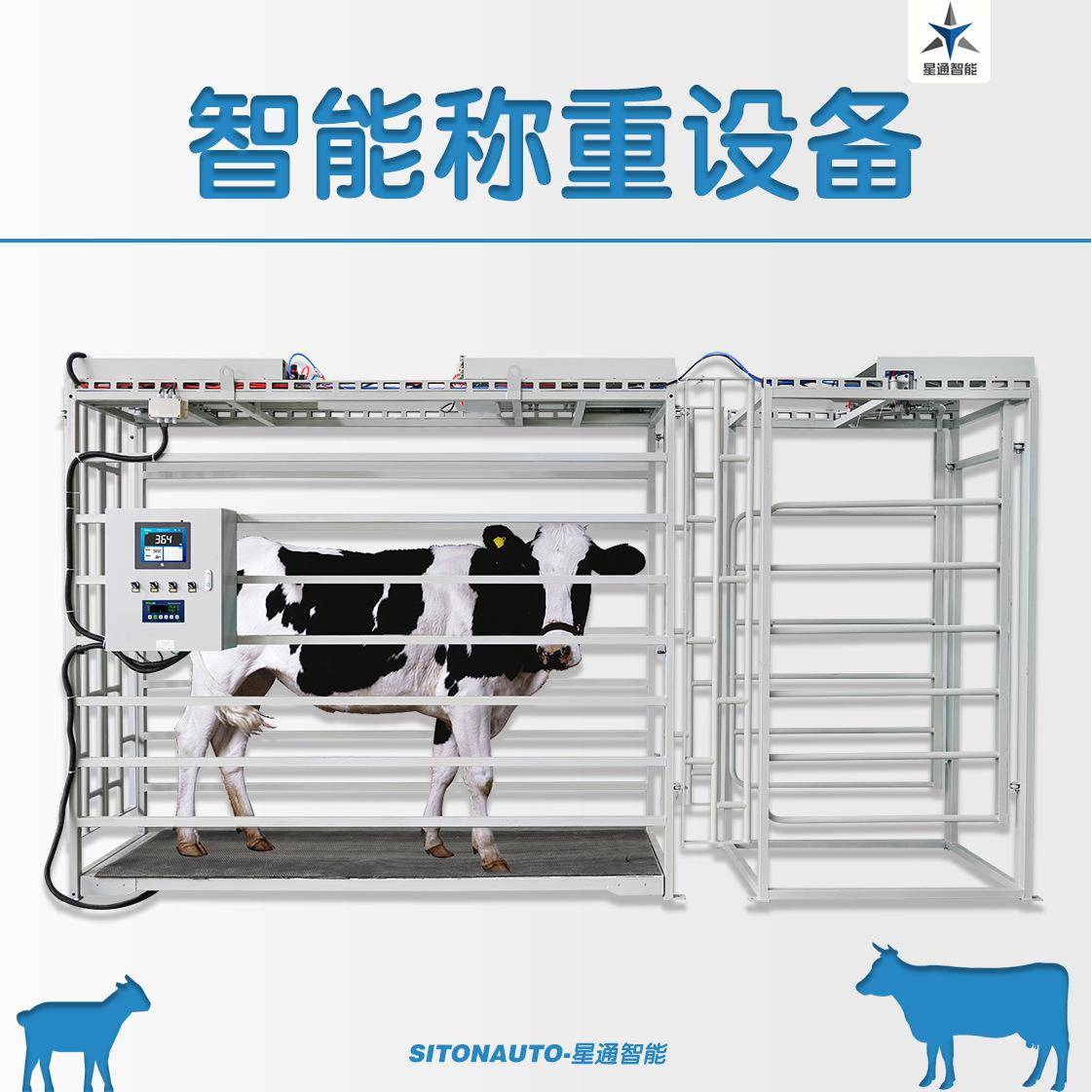 肉牛奶牛种牛称重分群设备科学化信息化管理养殖使用方便精准