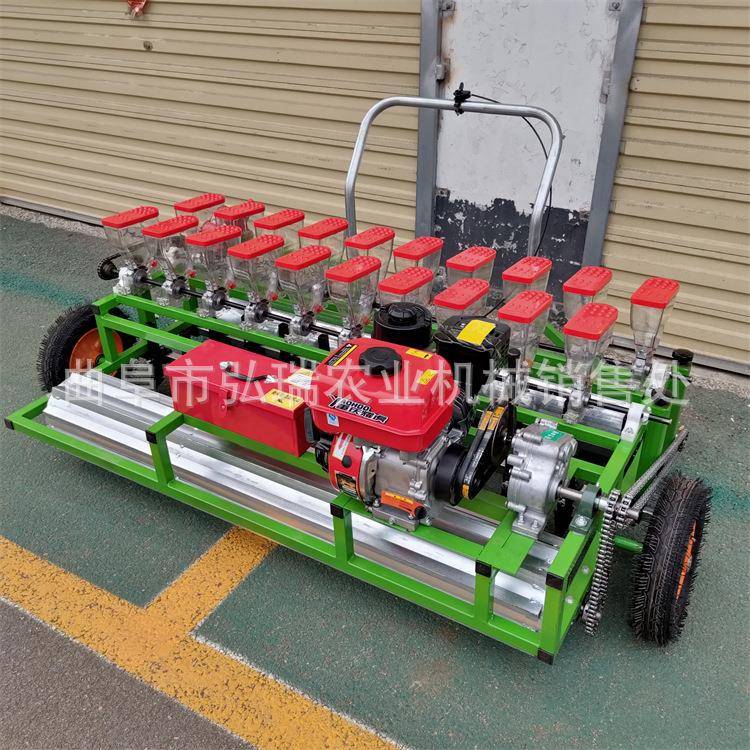 手推式双排多行精播机娃娃菜免间苗播种机汽油动力播种机