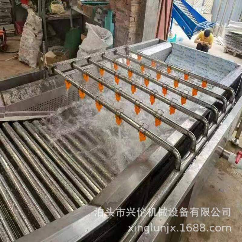 苹果清洗机蔬菜气泡清洗机毛辊清洗去皮机大枣干洗机