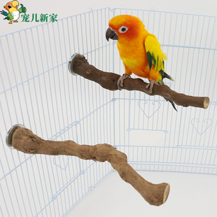 栖木 宠儿新家天然树藤 站杠 磨爪 鸟站棍鸟笼配件栖息木 葡萄藤