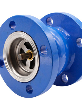 不锈钢芯消声止回阀HC41X-16型消音卧式单向逆止阀DN40 50 80 100