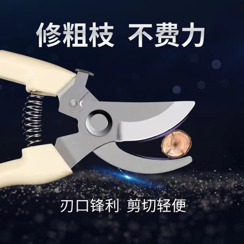 不锈钢树枝修枝刀采摘水果花木剪园林果树花卉枝嫁接园艺剪枝剪刀