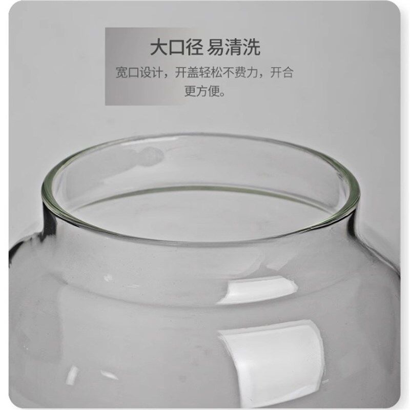 生态瓶子空瓶小鱼缸玻璃海藻球时尚精致高硼硅高透鱼缸储物罐
