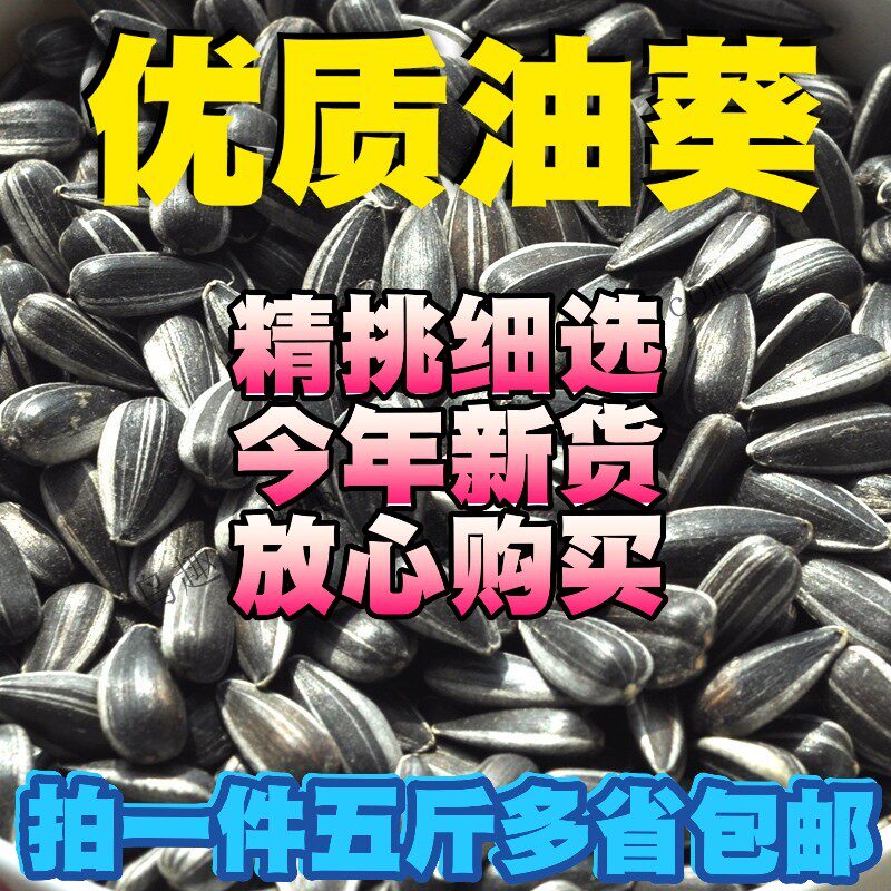 黑珍珠小瓜子葵花籽油葵籽鹦鹉鸟食鹦鹉鸟粮 鹦鹉鸟食鸟饲料5斤装
