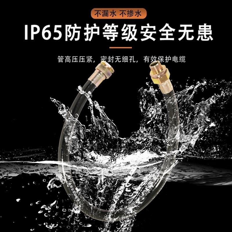 防爆软管防爆灯BNG专用接头防爆器材 DN20挠性管连接管穿线管DN25