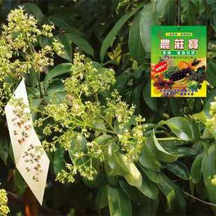 达豪农庄宝农用果蝇诱粘板瓜果实蝇桔小实蝇针蜂果园害虫粘胶20张