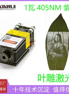 1w405nm叶雕紫光激光模组激光雕刻机配件