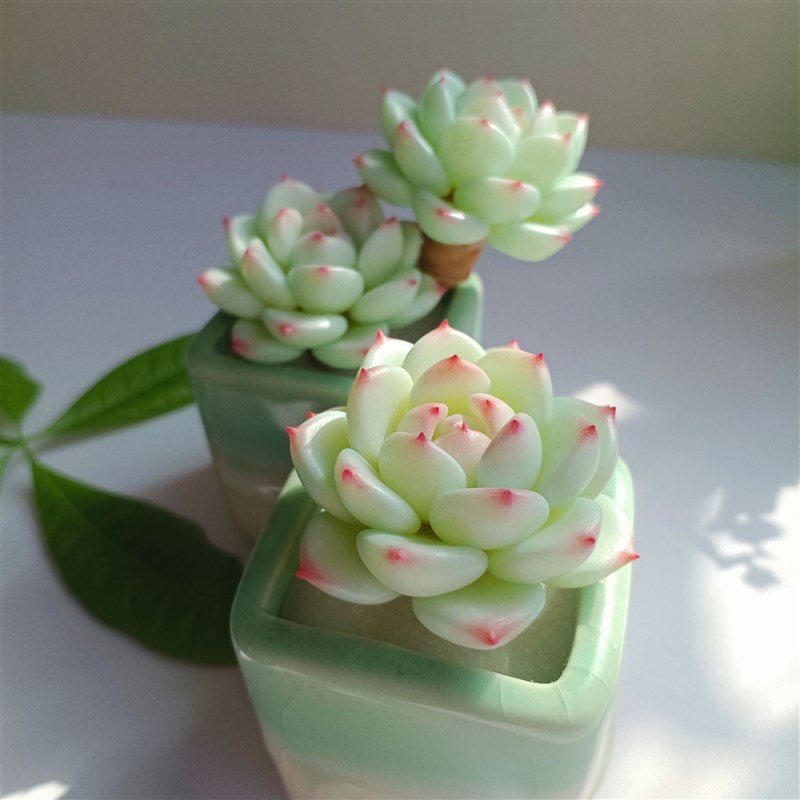 粘土多肉静夜小盆栽植物盆景室内装饰办公室桌面仿真绿植小摆件
