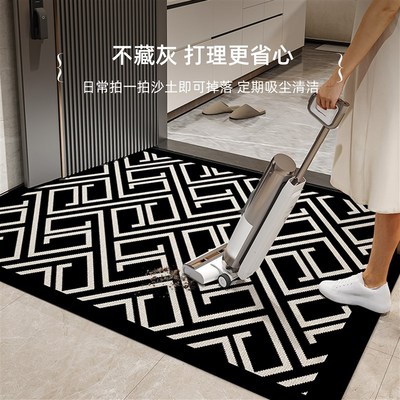 入户门地垫22新款高级感门外进门垫子家用门口防滑耐脏免洗地毯