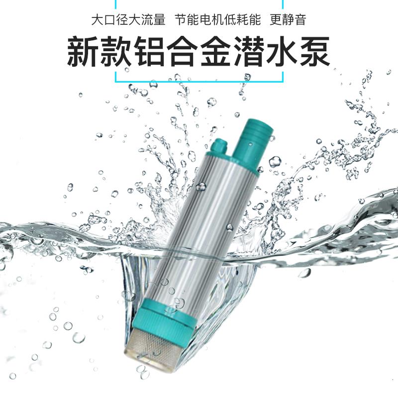 小型抽水泵机电动沉潜水自吸浇菜浇水机农家用12v24伏220直流
