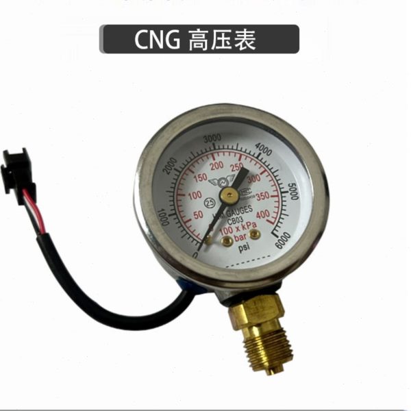 油改气的配件油压力表D06表单点表AC300AEB罗瓦托