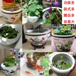 景德镇陶瓷鱼缸大号养金鱼缸睡莲盆荷花缸一米大水缸庭院造景落地
