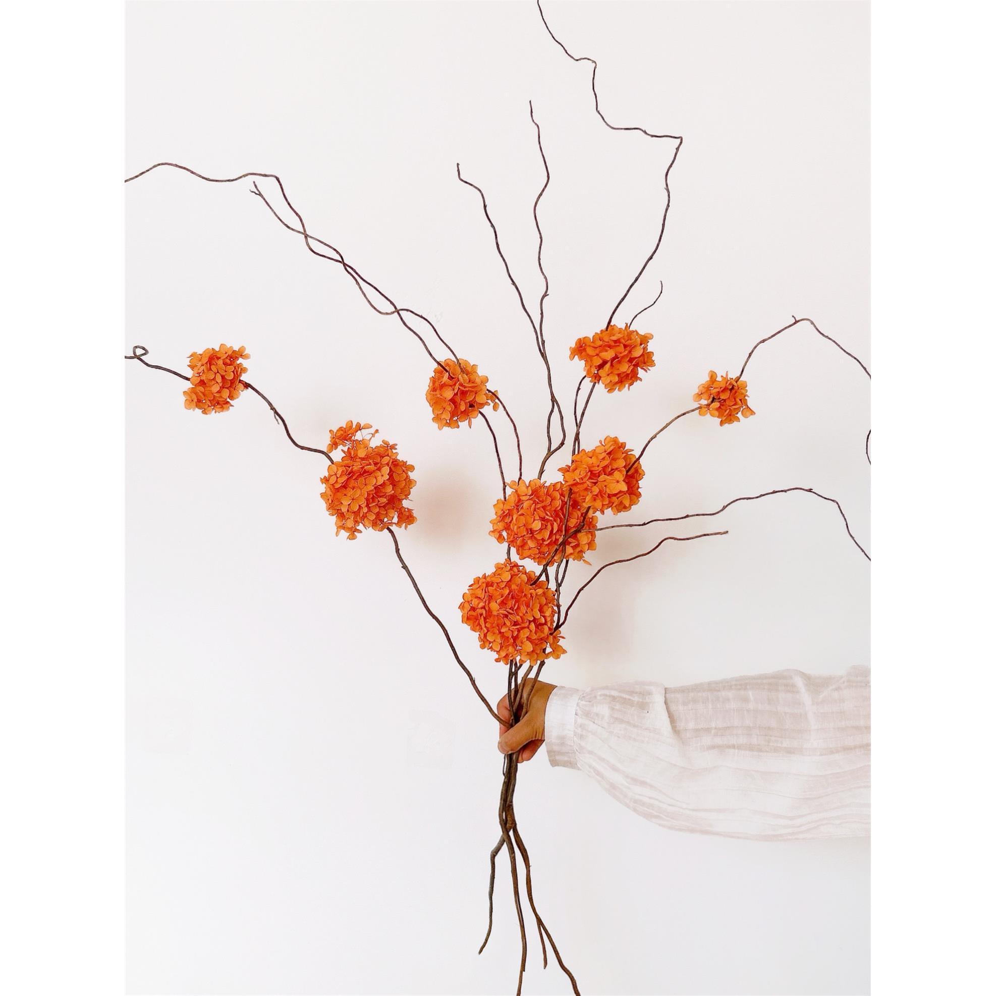 橙色浅粉色件绣球摆花干花永生花花束家居真插花装饰龙SYN柳枝意