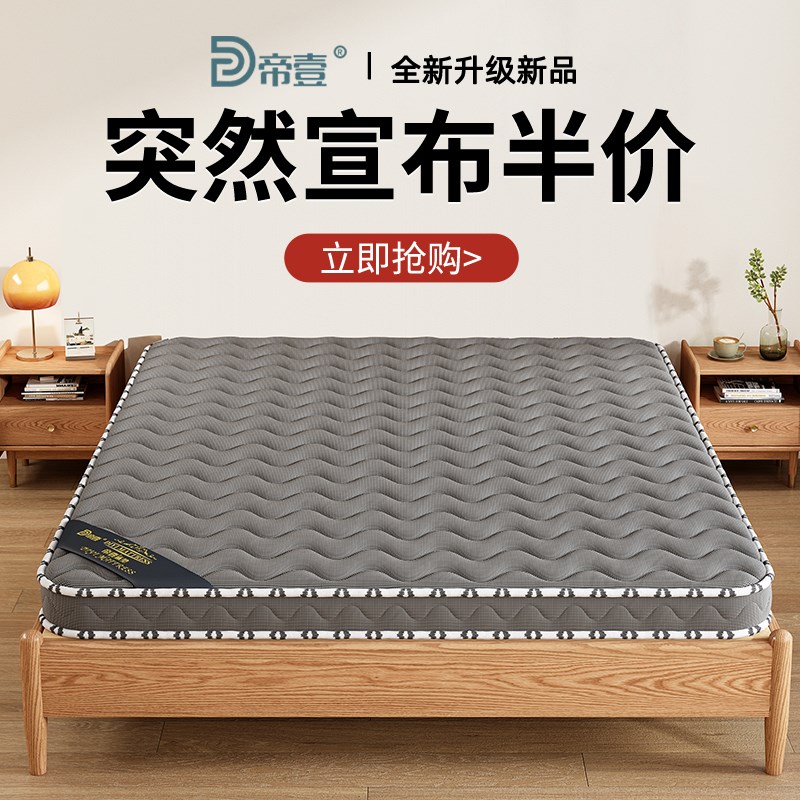 椰棕床垫硬垫子1.5米可定制棕垫折叠1.8米经济型护腰家用棕榈床垫