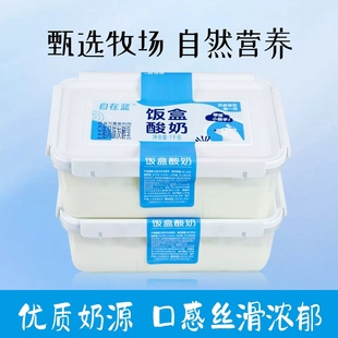 自在蓝饭盒酸奶风味发酵乳1kg营养饭盒早餐奶香浓郁低温原味酸奶