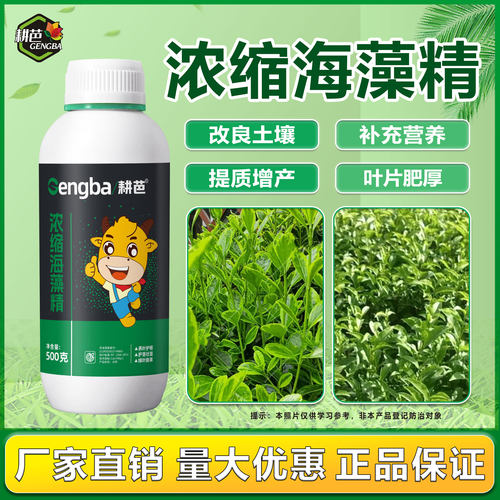 耕芭浓缩海藻精促根壮根绿叶靓果抗旱大田作物通用养叶生根调生长