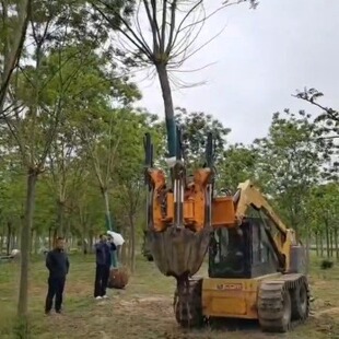 苗圃移栽挖树机全自动移苗机挖掘抱树机园林起树机带土球挖树机