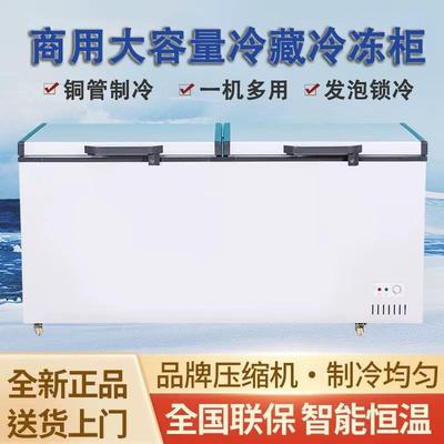 商用大容量冷柜厨房肉类冷藏冷冻冰柜大型卧式冷冻柜单温双温冰柜