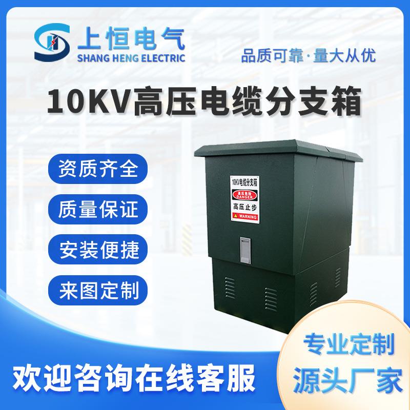 10KV-35KVFW-12欧式电缆分支箱一进两出冷轧板外壳插拔