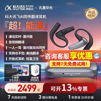 科大讯飞AI翻译智能耳机孔墨华光