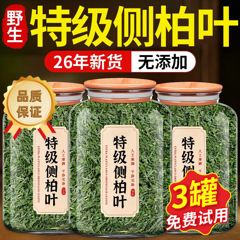 侧柏叶干中药材新鲜洗头发包