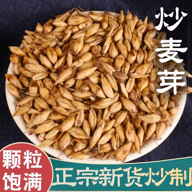 炒麦芽茶中药儿童麦芽麦芽茶