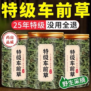 农科院车前草500g克干货官方旗舰店带根非中药材新鲜袋泡茶不野生