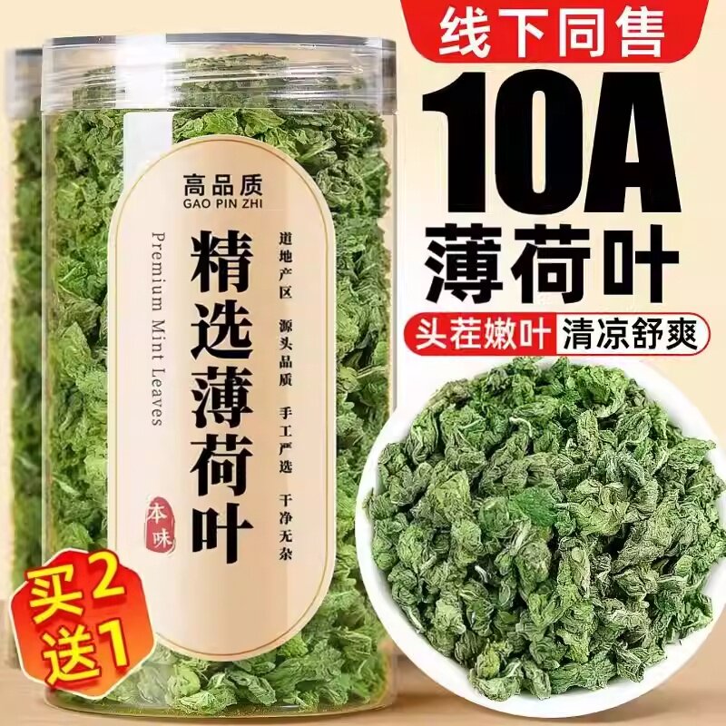 薄荷茶叶干薄荷叶新鲜可食用泡茶