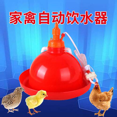 新式大自动DP