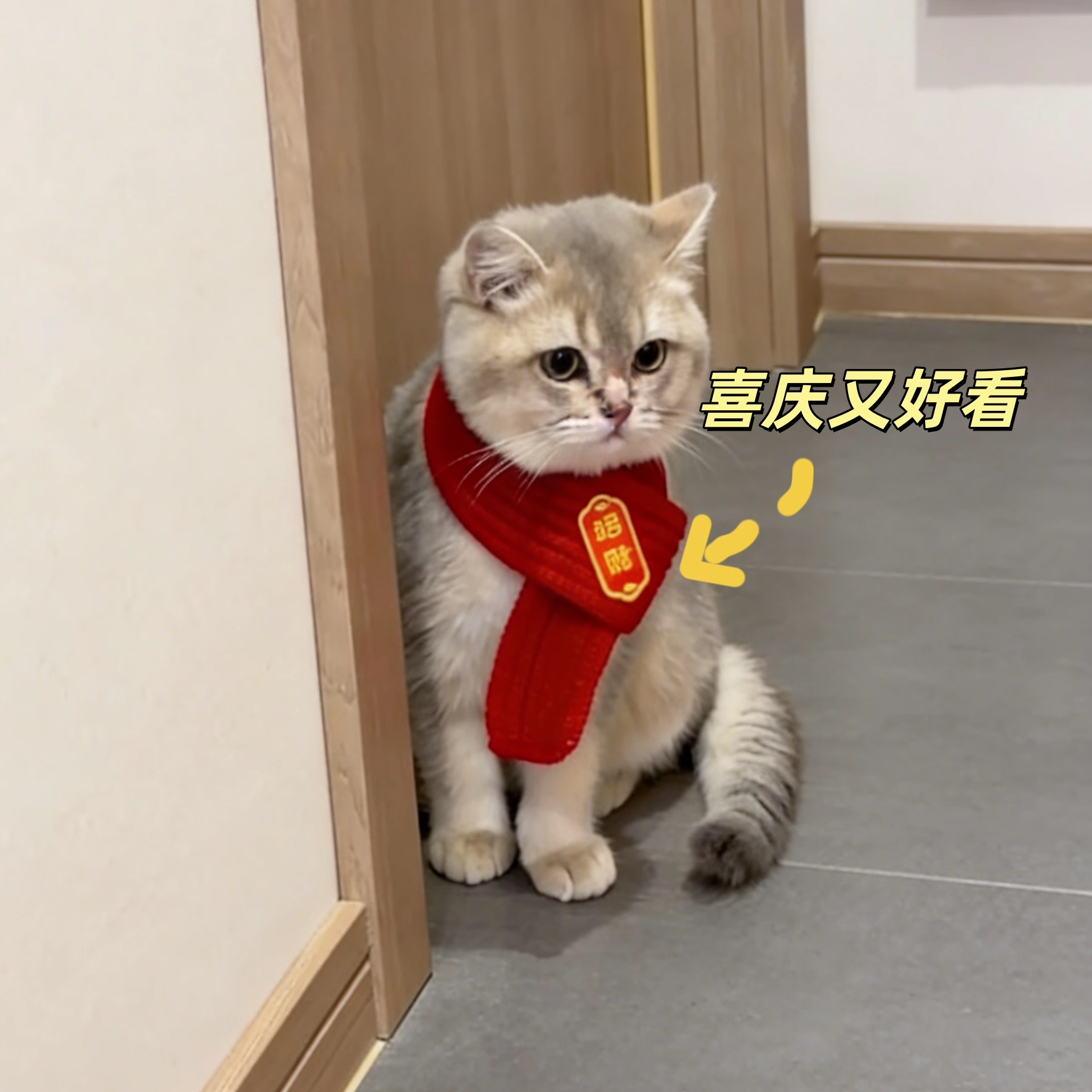 招财小猫围巾真是太可爱啦