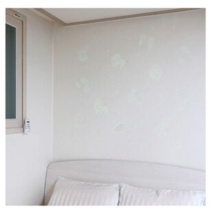 十二星座夜光贴墙贴发光星星贴纸卧室房间天花板装 饰创意荧光贴画