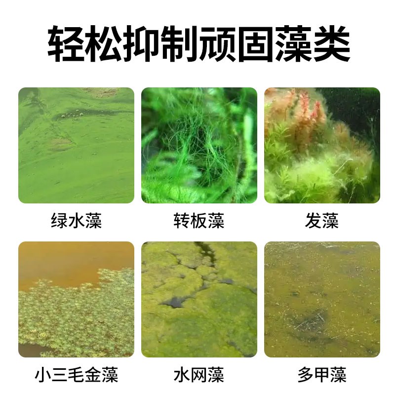 硝化细菌鱼缸用净水剂分解鱼粪养鱼专用去黄除藻水质稳定杀菌净水