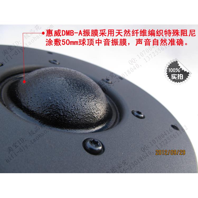 HIVI惠威5寸半纯中音喇叭 发烧扬声器单元DMB-A 落地箱中音 正品