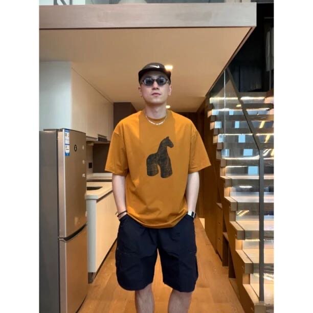 夏季凉感索罗娜小马印花短袖T恤