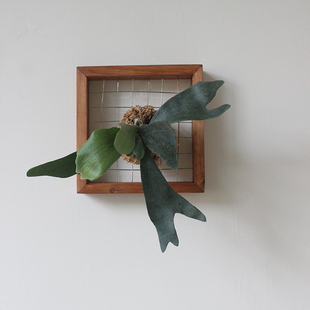 鹿角蕨定植板壁挂实木手工相框蕨类植物花盆挂板植物墙绿植好养护