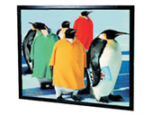 全新红金叶 3画框幕投影幕 100寸4