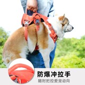 狗狗牵引绳背心式 宠物胸背带狗绳大中小型犬金毛柯基外出专用狗链