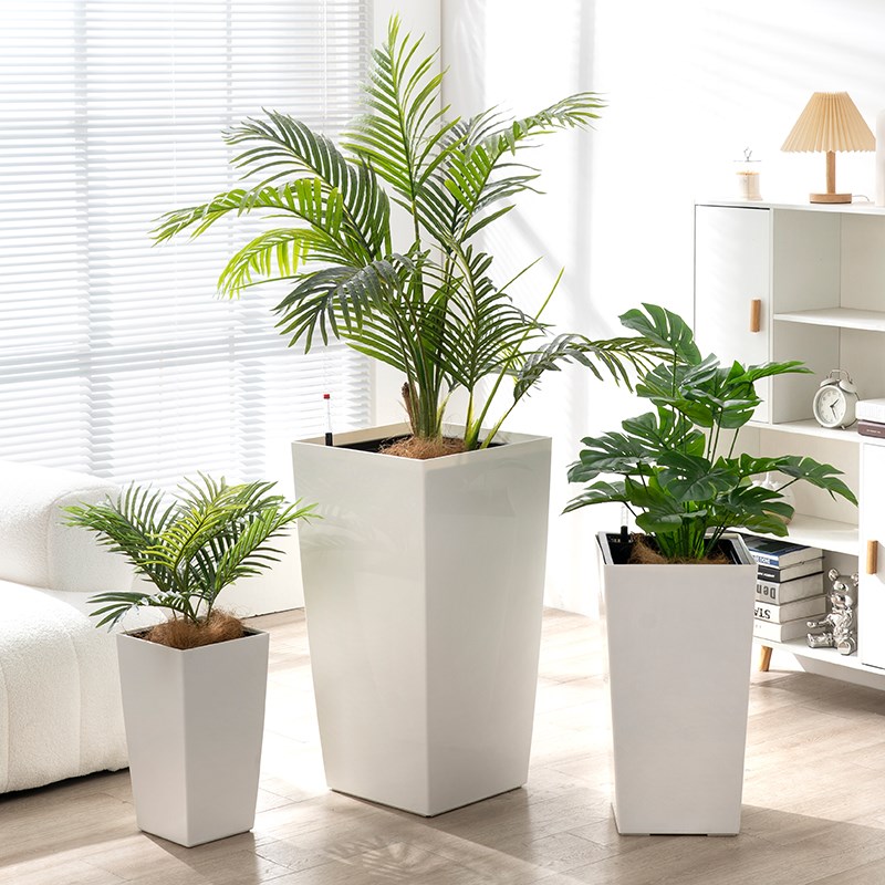 家用大花盆白色加厚自吸水客厅大绿植百合竹幸福树龙血树专用花盆