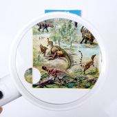 取火放大镜高清5倍带led灯老人专用看书阅读辅助工具150mm大镜片