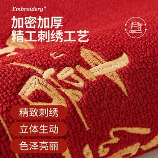 喜庆家用脚垫子耐脏防滑入户进门口高端地毯 红色入门地垫2025新款
