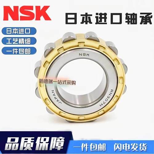 NSK日本进口减速机轴承 RN306 307 308 309 310 312 313 EM EW