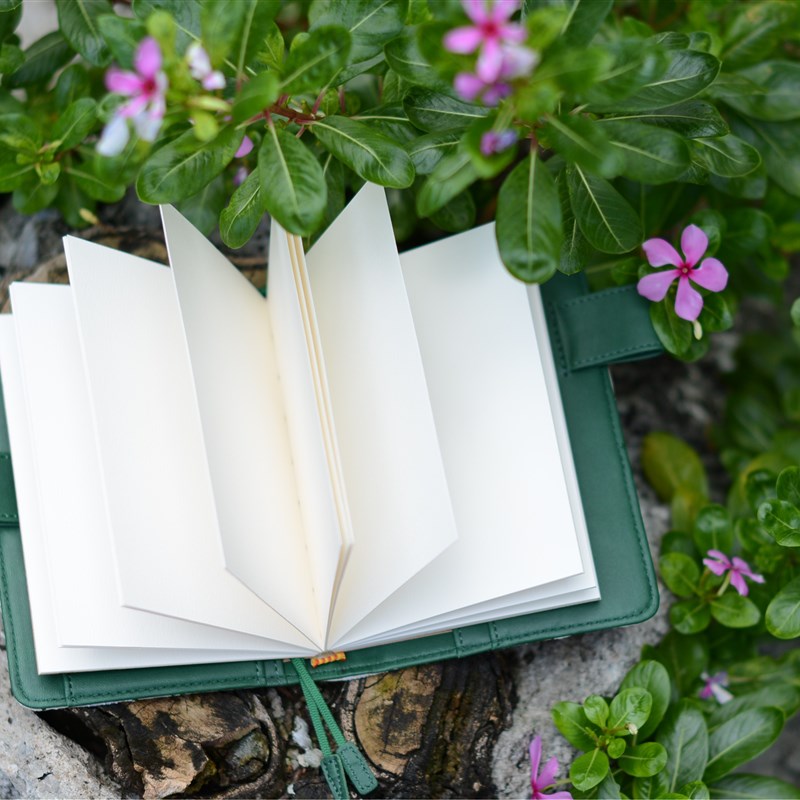 手工定页hobo尺寸5手帐书衣旅行日记水彩本替换内芯