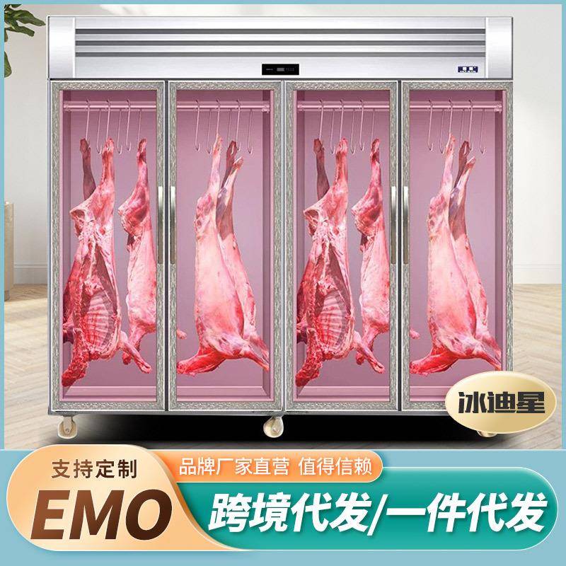 挂肉柜商用牛羊肉保鲜展示柜子冷藏冰柜立式冷冻柜排酸柜