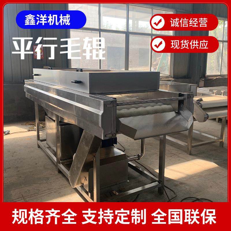 不锈钢平行毛辊清洗机橙子红薯清洗抛光设备生蚝海鲜清洗打蜡机
