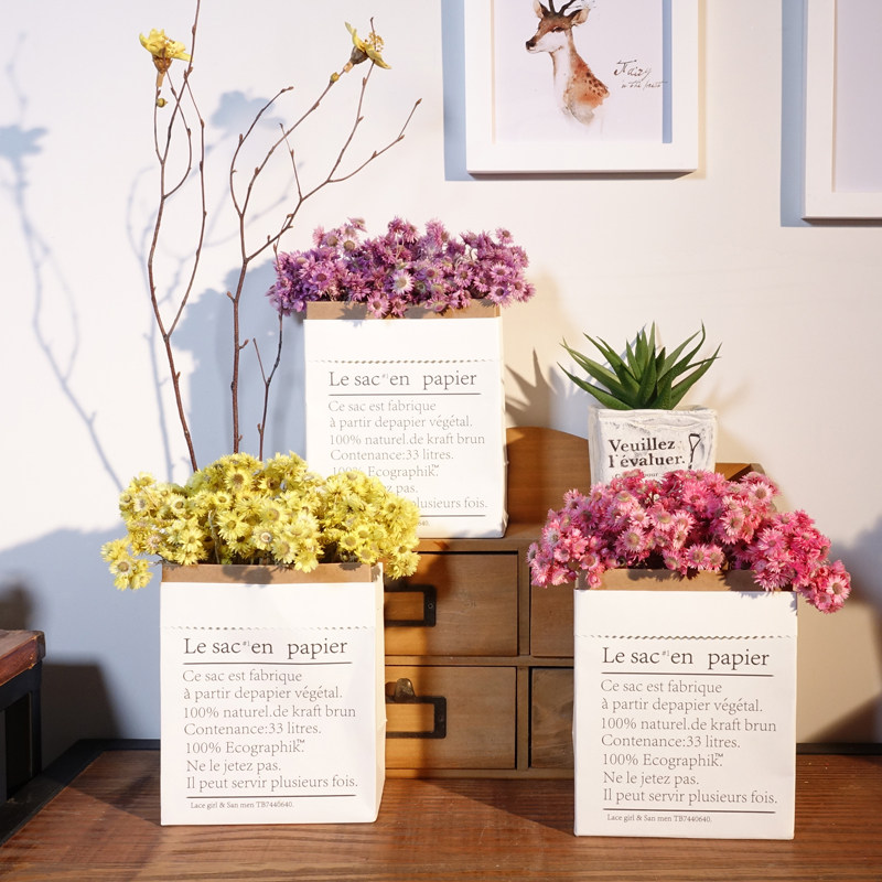 纸袋小雏菊干束小新干装饰家居迷你干小束,家居饰品,干花/花瓣/干花包/干树枝,淘宝优惠券,粉丝福利购,淘宝优惠卷