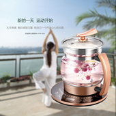 养生壶全自动加厚玻璃大容量煎药壶茶黑茶煲粥煮茶器