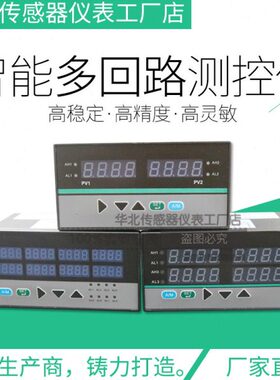 PT100热电偶K型多通道温度控制仪表 1 2 4 8路智能温控自动温控器